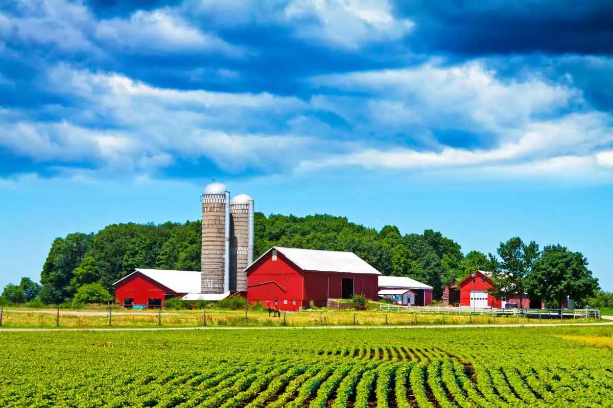 Landscape view of farmhouse and field 