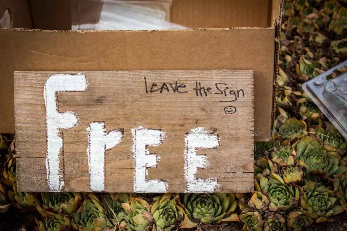 Freebies sign placed among succulents in a box