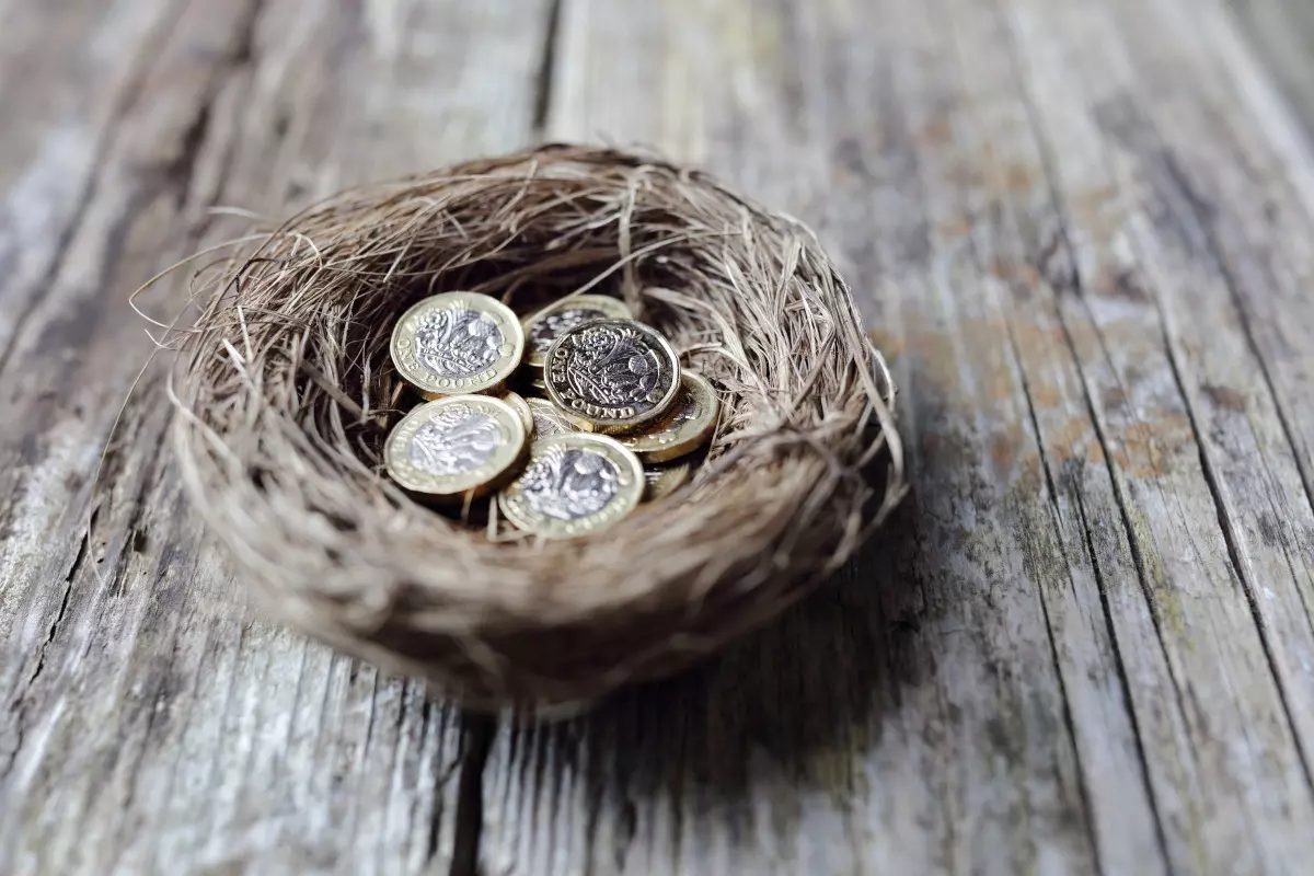A bird's nest with coins in it.
